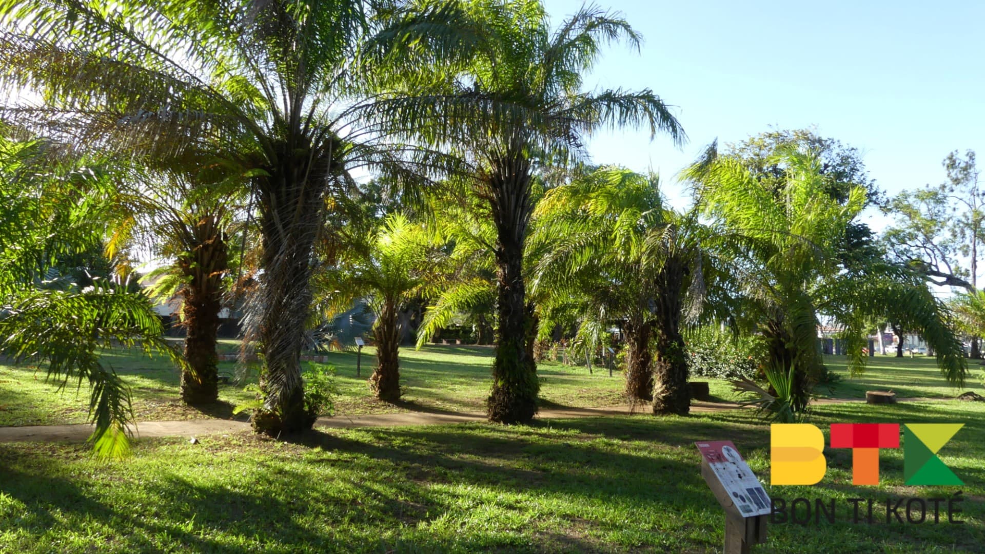 Le jardin botanique de Cayenne